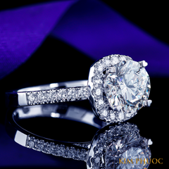 Ring ADM1066