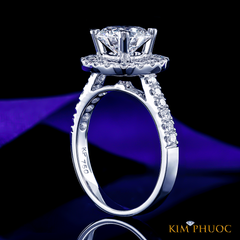 Ring ADM1066