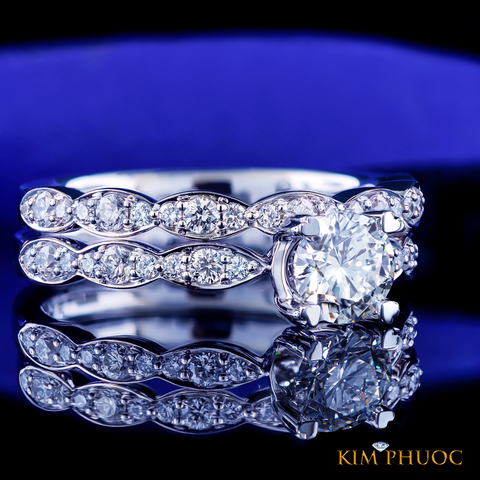 Ring ADM1079