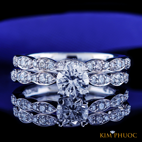 Ring ADM1079