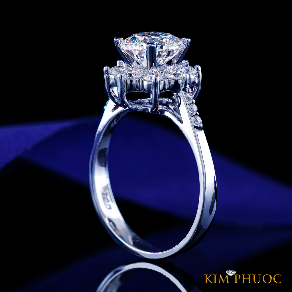 Ring ADM1116