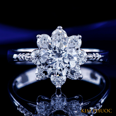 Ring ADM1116