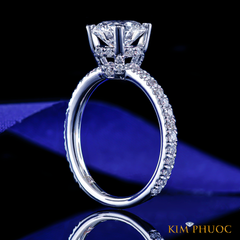Ring ADM1139