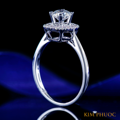 Ring ADM1175