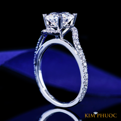 Ring ADM1176