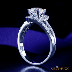 Ring ADM588