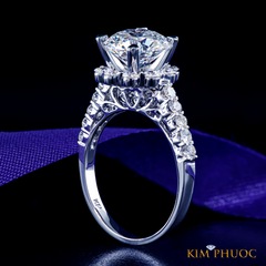 Ring ADM739