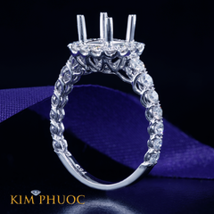 Ring ADM771