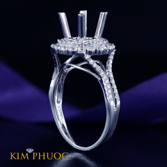 Ring ADM799