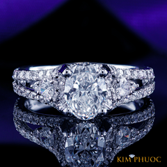 Ring ADM811