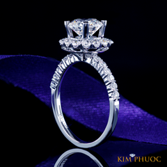 Ring ADM952