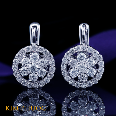 Earrings AEDG268