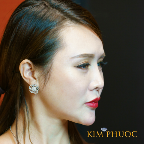 Earrings AEDG318