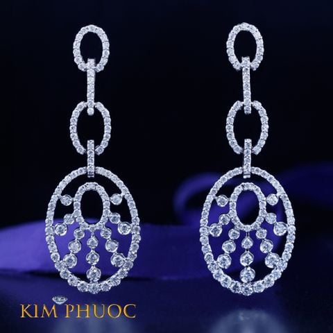 Earrings AEDG323