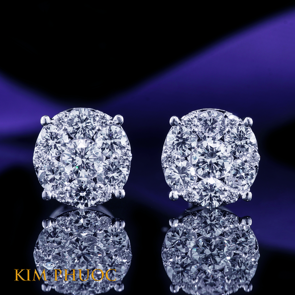 Earrings AEDG397