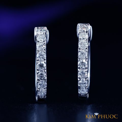 Earrings AEDG417