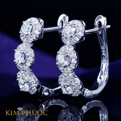 Earrings AEDG426