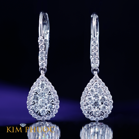 Earrings AEDG427