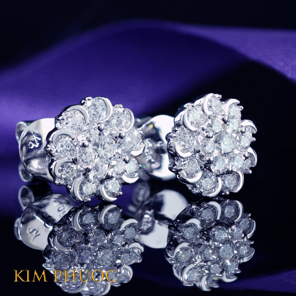 Earrings AEDG428