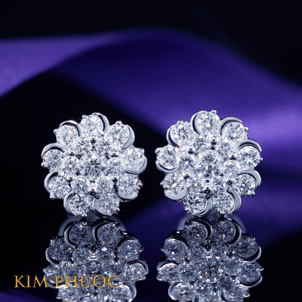 Earrings AEDG428