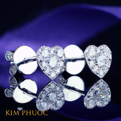 Earrings AEDG432