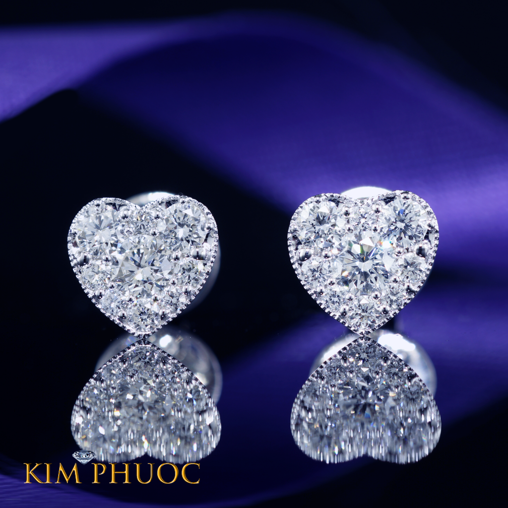 Earrings AEDG432