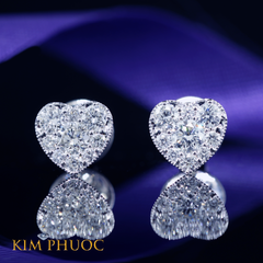 Earrings AEDG432