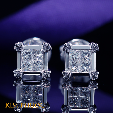 Earrings AEDG439
