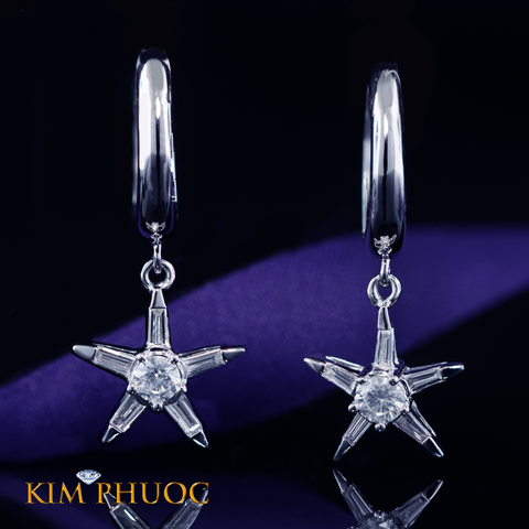 Earrings AEDG440