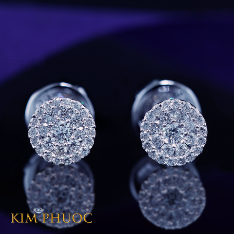 Earrings AEDG444