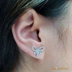 Earrings AEDG505