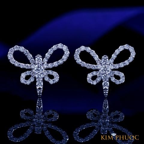 Earrings AEDG505