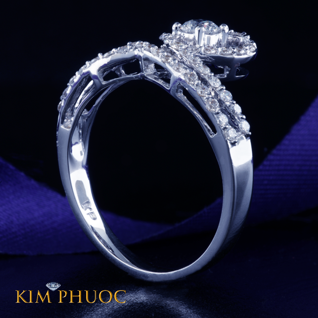 Ring ARDG100