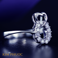 Ring ARDG145
