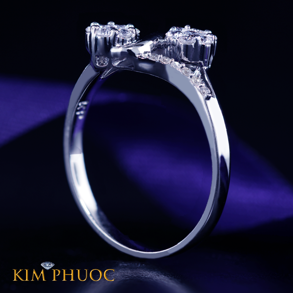 Ring ARDG412