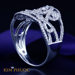 Ring ARDG580