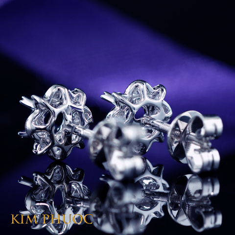 Earring AEM321