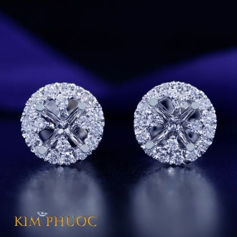 Earring AEM324