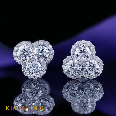 Earrings AEDG368