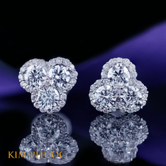 Earrings AEDG368