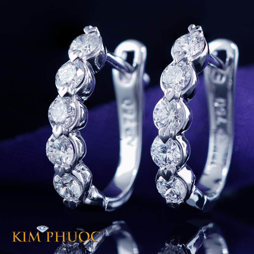 Earrings AEDG453