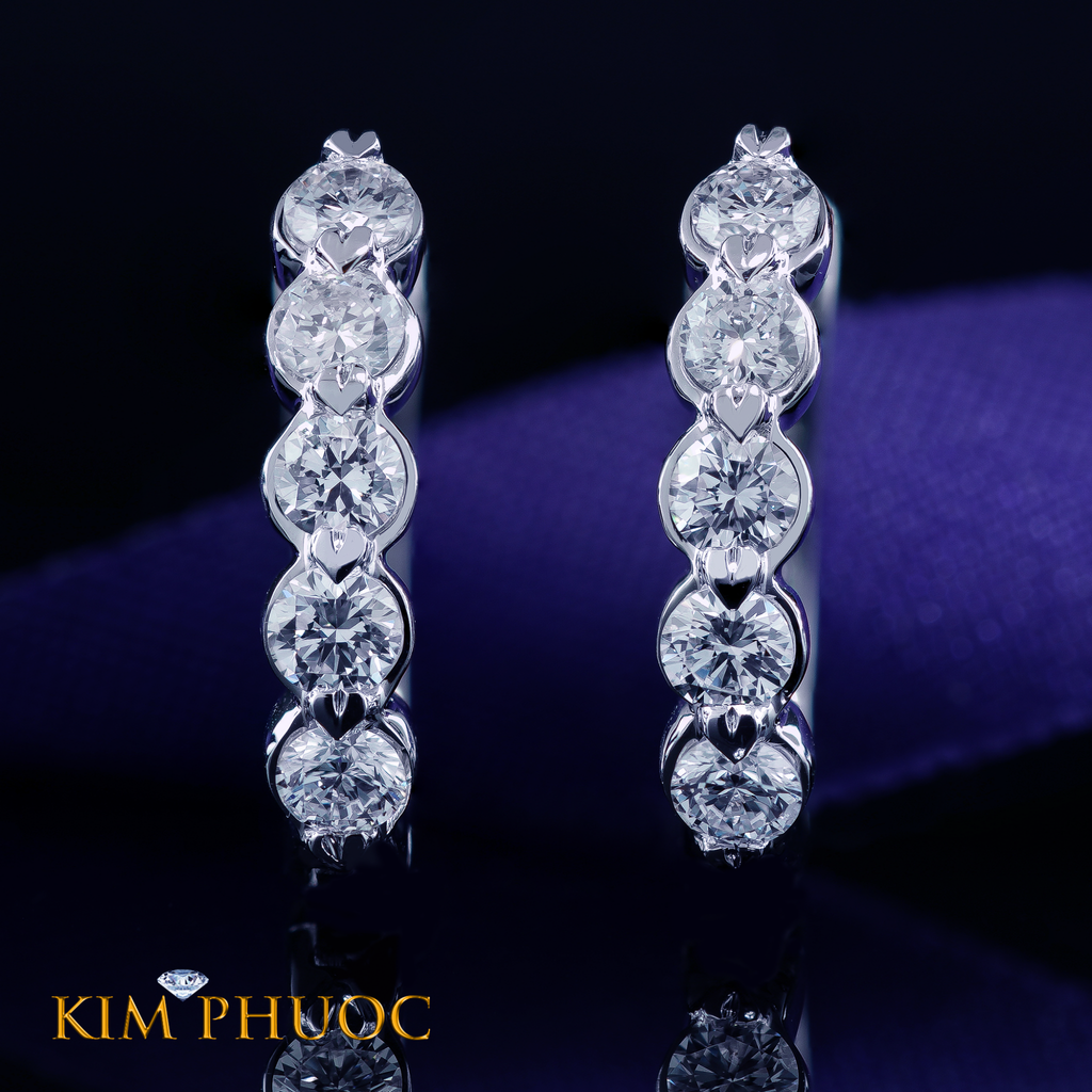 Earrings AEDG453