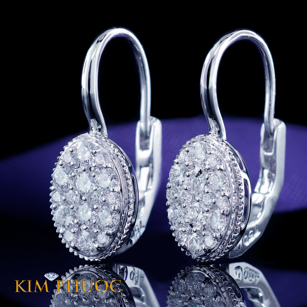 Earrings AEDG454