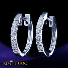 Earrings AEDG457