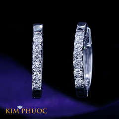 Earrings AEDG457