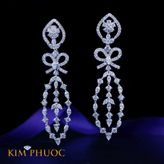 Earrings EDG898