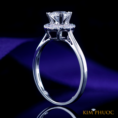 Ring ADM664