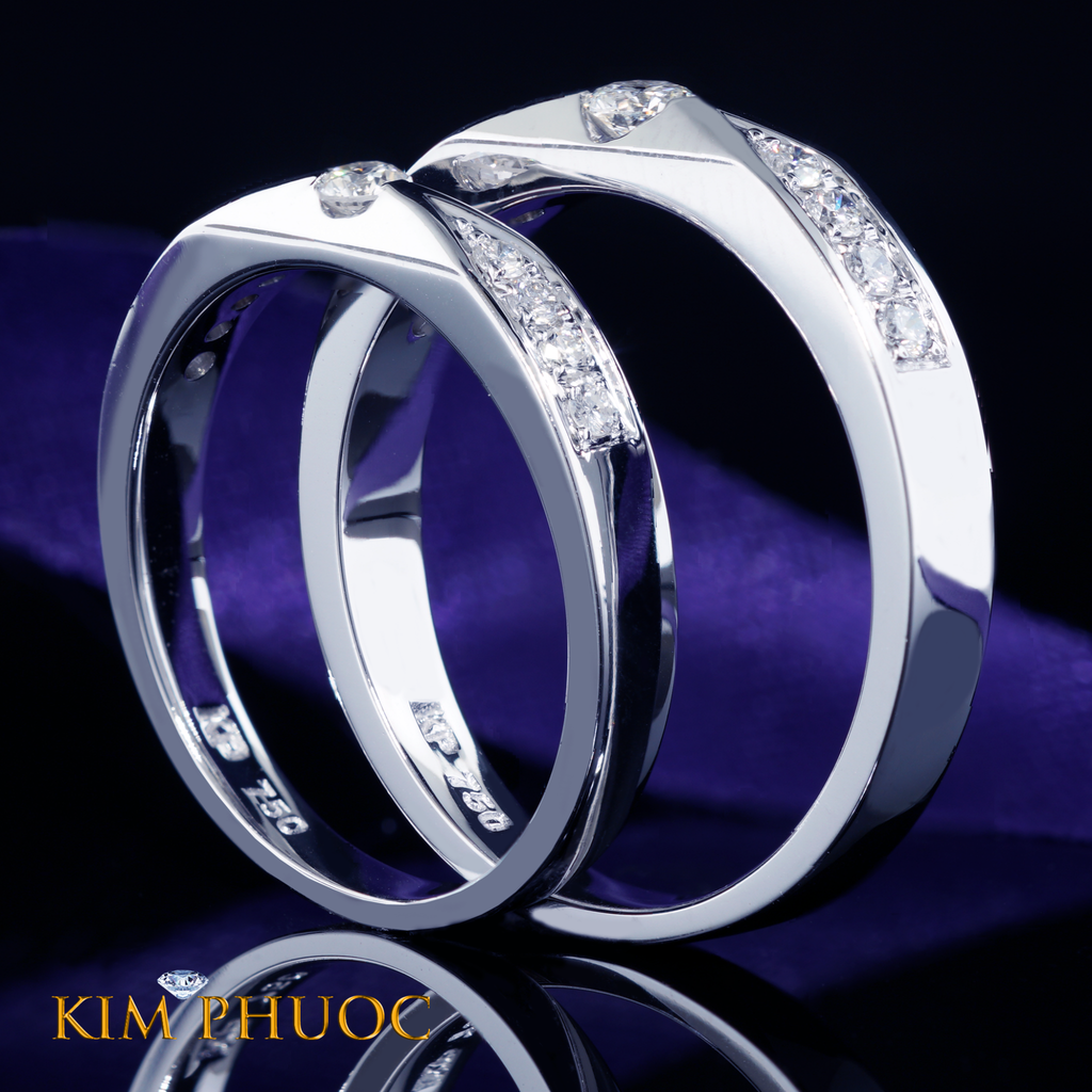 Bands ARDG758