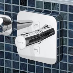 Mặt nạ điều khiển nhiệt độ và chuyển hướng sen âm tường 389110538