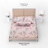 T5 Velvet Orchid